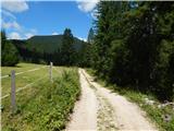 Uskovnica (Razpotje) - Planina Konjščica