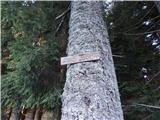 Polja - Peč (Tromeja)