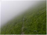 Plockenpass - Creta di Collinetta / Cellon