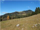 Planina Jezerca - Kržišče (Pokovše)