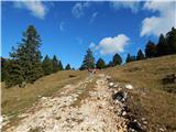 Planina Jezerca - Kržišče (Pokovše)