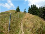 Bohinjsko sedlo - Slatnik (southeastern peak)