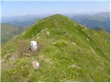 Monte Cecido / Reiterkarspitz