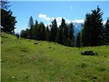 Kranjska Gora - Mojčin dom na Vitrancu