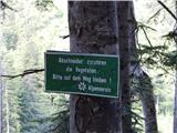 Trate / Johannsenruhe - Ovčji vrh (Kozjak) / Geissberg (Kosiak)