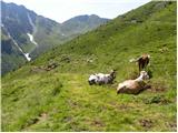 Winklertal - Oberalm