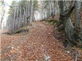 Bela Peč - Planina Travnik