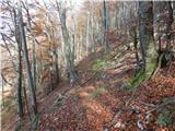 Bela Peč - Planina Travnik