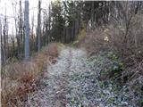 Bela Peč - Planina Travnik