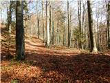 Bela Peč - Planina Travnik