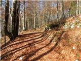 Bela Peč - Planina Travnik