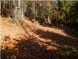 Bela Peč - Planina Travnik