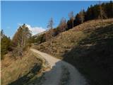 Podljubelj (Lajb) - Planina Planinca