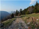 Podljubelj (Lajb) - Planina Planinca