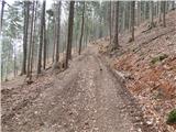 Potok (Mostni graben) - Vrhe