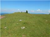 Zavetišče na Biba planini - Goli vrh (Šavnice)