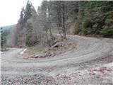 Mislinjski graben (Pestotnik) - Ostruščica