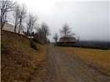 Mislinjski graben (Pestotnik) - Ostruščica