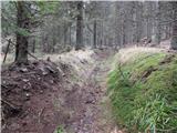 Mislinjski graben (Pestotnik) - Ostruščica