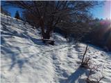 Bač - Kršičevec