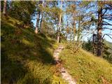 Polhov Gradec (Blagajev grad) - Polhograjska Gora (Sveti Lovrenc)