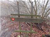 Bridge over Dušica - Zaplaz