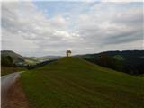 Polhov Gradec (Blagajev grad) - Mali vrh