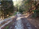 Planina Smrečica (Poglajnov rovt) - Turn (above Bohinjska Bela)