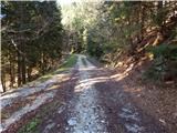 Planina Smrečica (Poglajnov rovt) - Turn (nad Bohinjsko Belo)