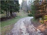 Zatrnik - Turn (above Bohinjska Bela)