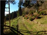 Planina Smrečica (Poglajnov rovt) - Galetovec