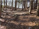 Planina Smrečica (Poglajnov rovt) - Galetovec