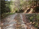 Zatrnik - Turn (above Bohinjska Bela)