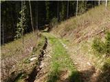 Bled (Velika Zaka) - Turn (above Bohinjska Bela)