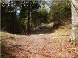 Zatrnik - Turn (above Bohinjska Bela)