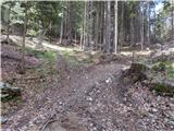 Zatrnik - Turn (above Bohinjska Bela)