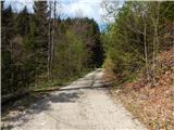 Bled (Velika Zaka) - Turn (above Bohinjska Bela)