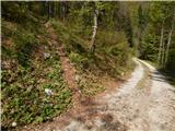 Zatrnik - Turn (above Bohinjska Bela)