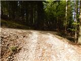 Zatrnik - Turn (above Bohinjska Bela)