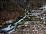 Source of Ljubija - Dom na Smrekovcu