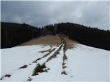 Source of Ljubija - Dom na Smrekovcu