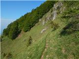 Spodnja Kokra - Planina Dolga njiva