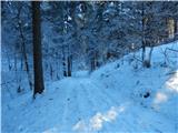 Poljšica pri Gorjah (Zatrata) - Planina Rčitno