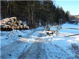 Poljšica pri Gorjah (Zatrata) - Planina Rčitno