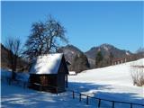 Poljšica pri Gorjah (Zatrata) - Planina Rčitno