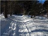 Poljšica pri Gorjah (Zatrata) - Planina Rčitno