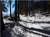 Poljšica pri Gorjah (Zatrata) - Planina Rčitno