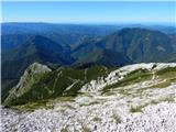 Grant - Suha Rodica (Novi vrh)