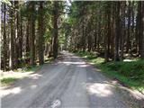 Forestry cottage Rovtarica - Forestry cottages Martinček