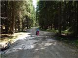Gozdarska koča Rovtarica - Lipniška planina